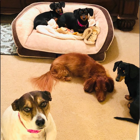 Meet your Posher, Michelle - Picture 2 of 8